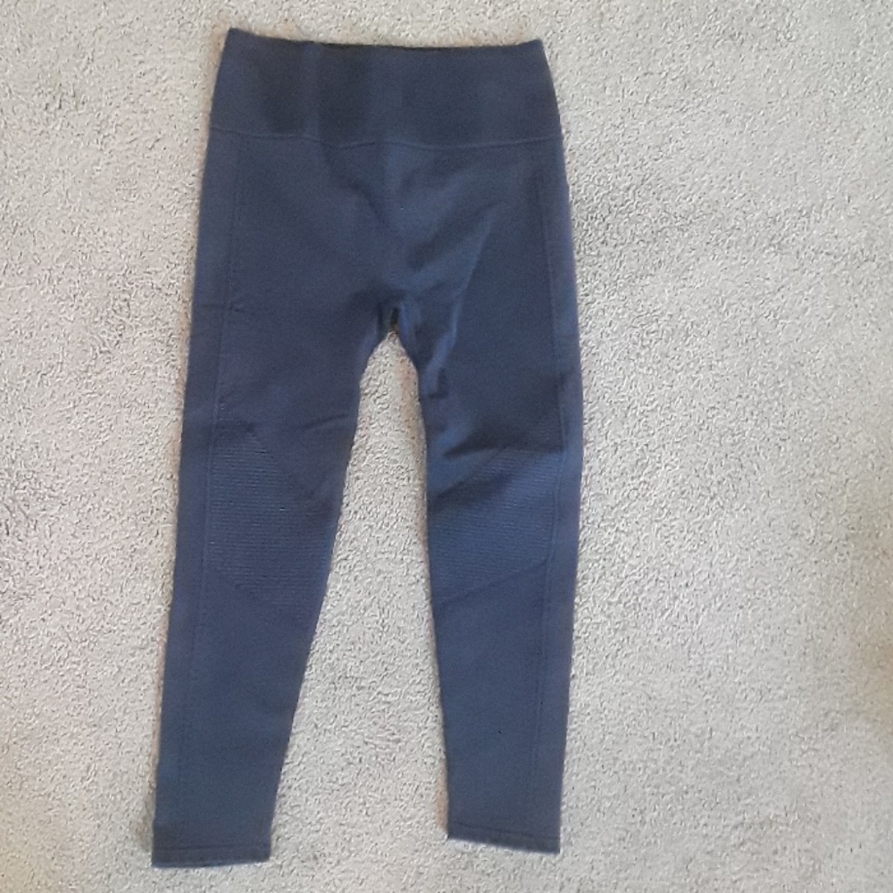 Fabletics Pants